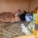 Helena &